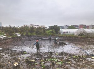 宁晋河道鱼塘清淤